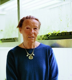 Barbara Hohn