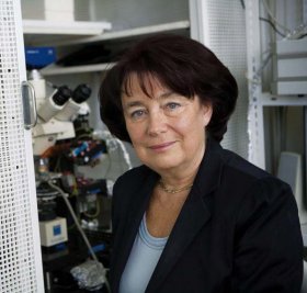 Eva Syková